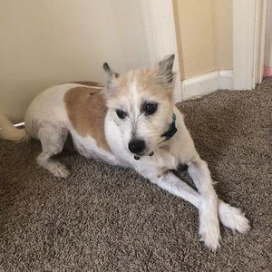 Meet your Posher, Brayden